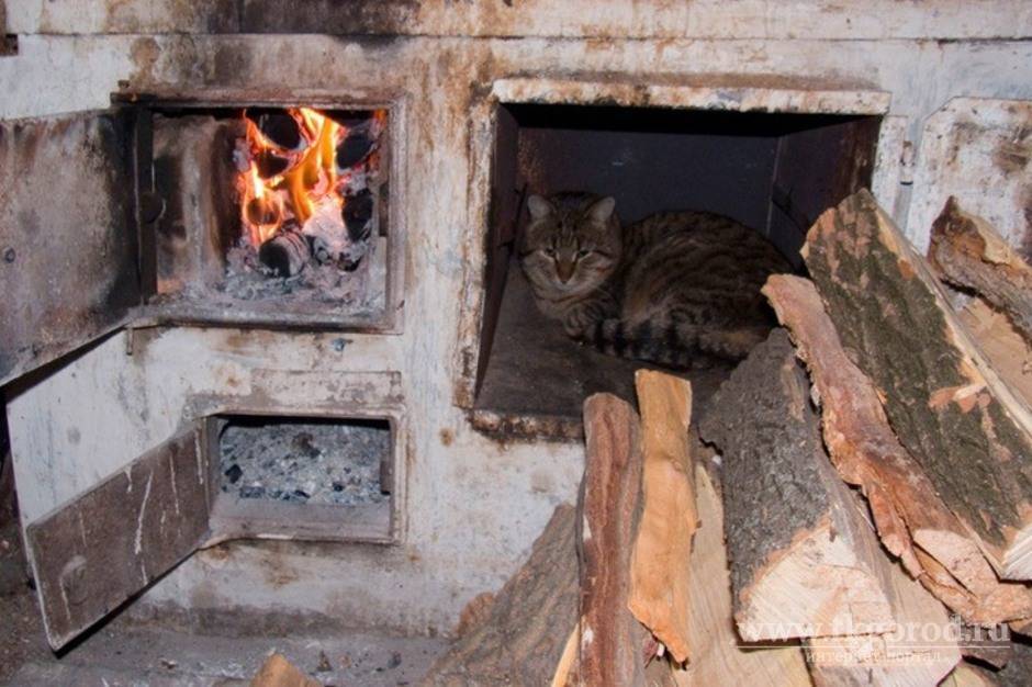 Как правильно топить печь углем зимой