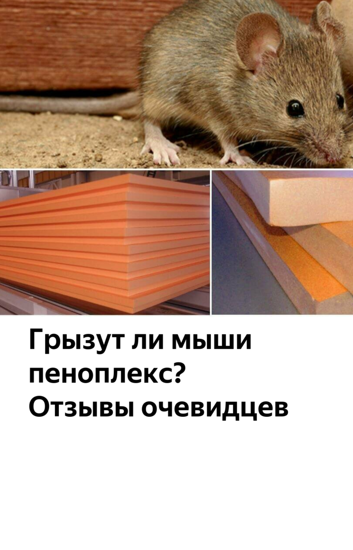 Мыши обгрызли. Мыши в пеноплексе. Грызуны и утеплитель. Мыши в утеплителе. Пеноплекс и мыши.
