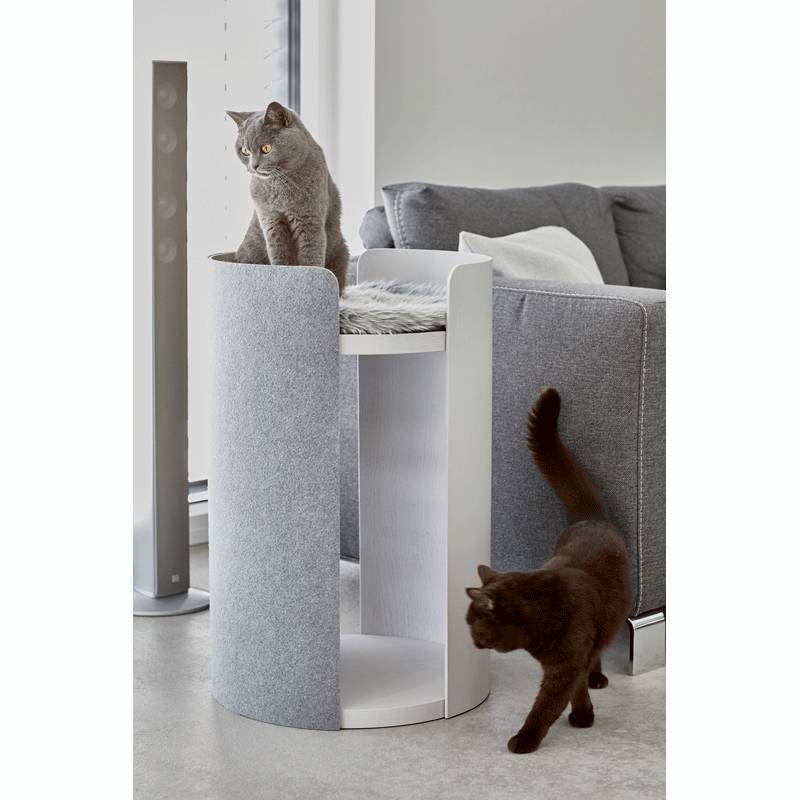 Стильная мебель для кошек и собак от pettel design | houzz россия