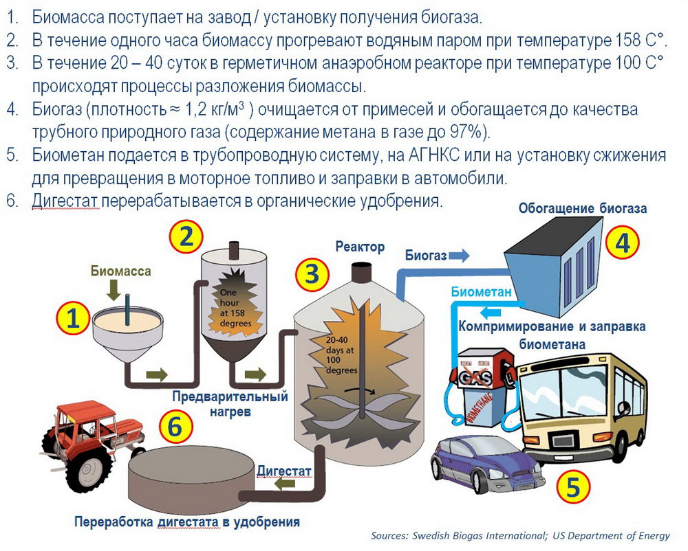 Энергия биомассы — черная и цветная металлургия на metallolome.ru