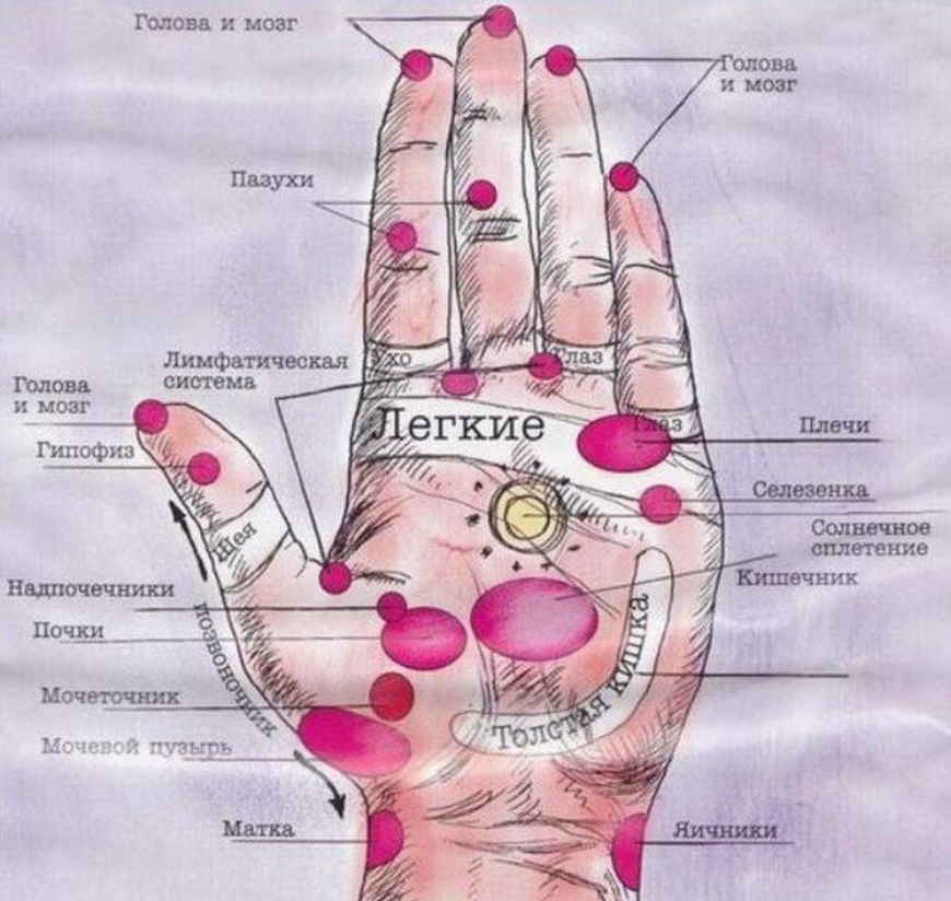 Массажные точки на руках за что отвечают схема