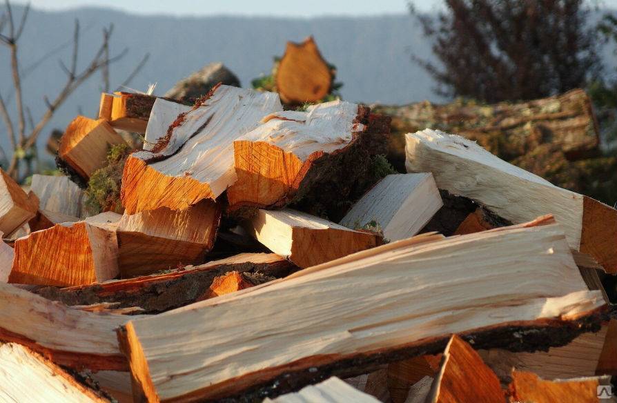 Выбор дров: сравнение различных пород, важные рекомендации