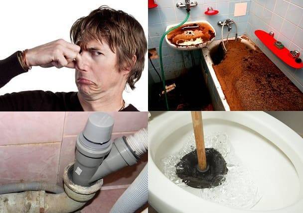 3 способа устранить запах канализации в бане
