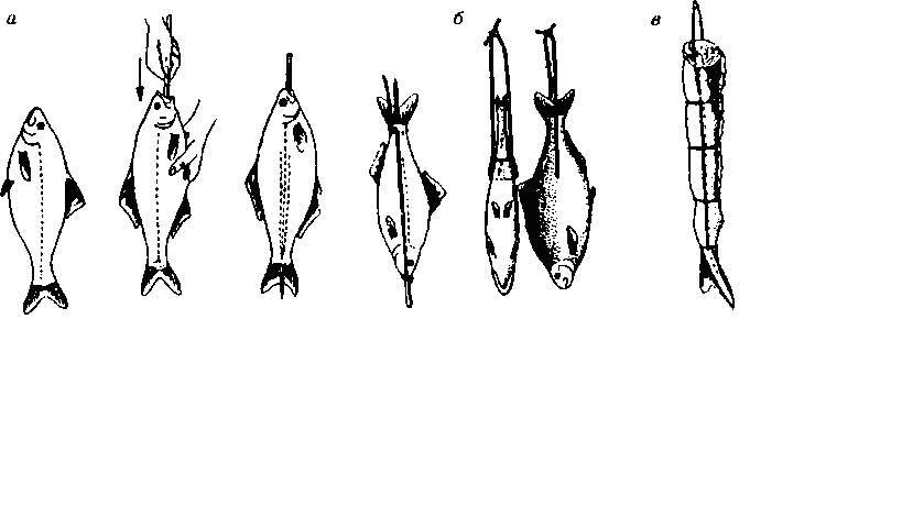Горячее копчение рыбы - краткое описание основных этапов