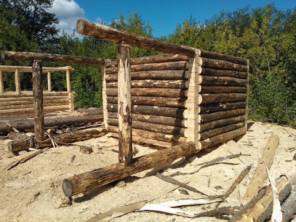 Как построить баню из осины: особенности деревозаготовки + монтажные работы