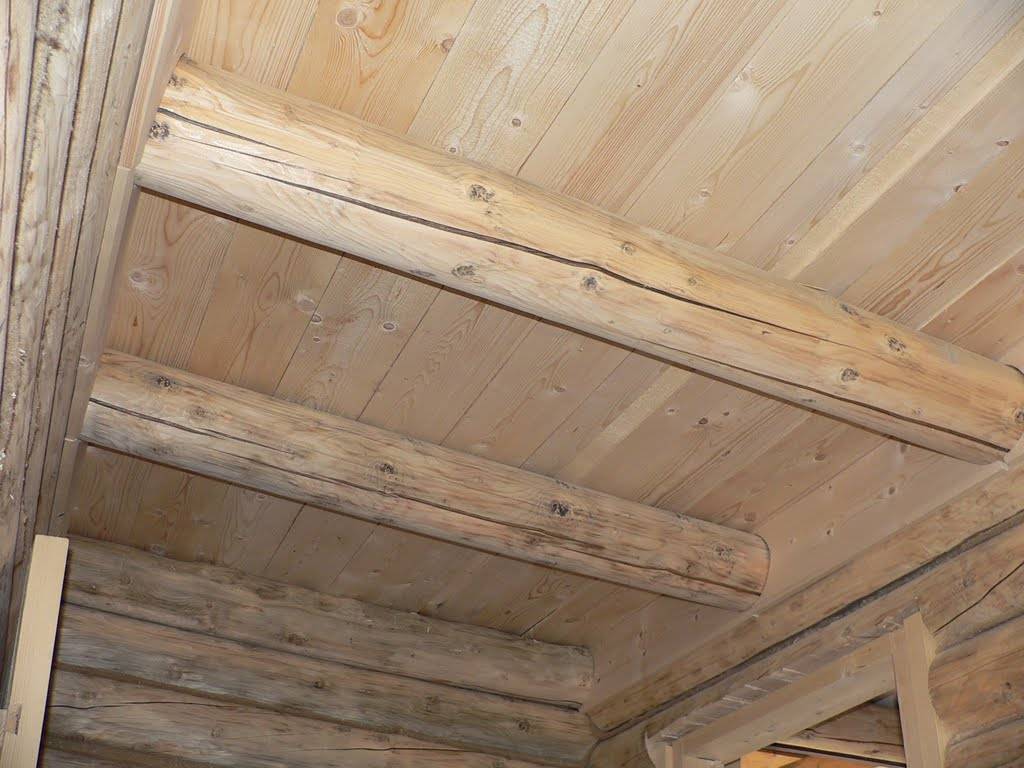 Потолок в бане своими руками: пошаговое руководство как сделать правильно настильный и подшивной потолки в бане из сруба и других стеновых материалов