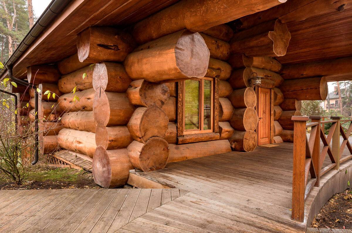 Баня из кедра: плюсы и минусы выбора этой древесины, а также мы расскажем о том, что сибирский и канадский - не одно и то же, о срубах и об отделке вагонкой и о многом другом