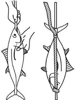 Как коптить рыбу в коптильне: описание подготовки и процесса