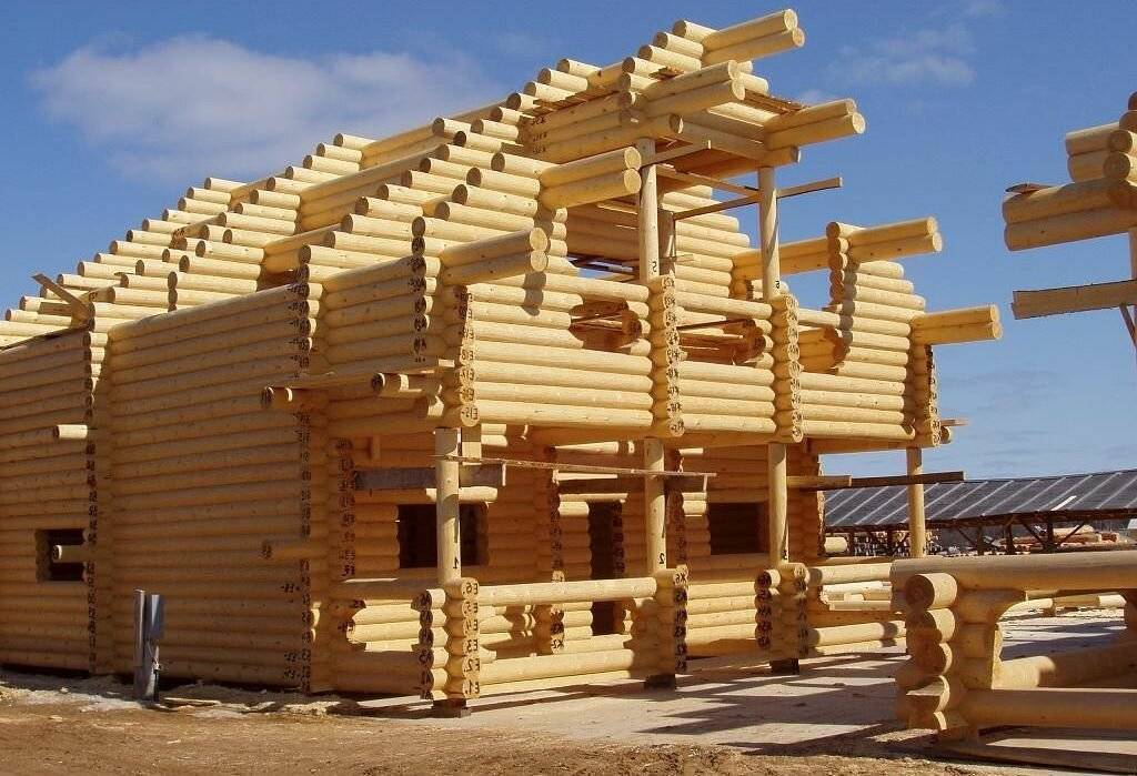 Из какой породы дерева строить дом: обзор популярных пиломатериалов - 1drevo.ru