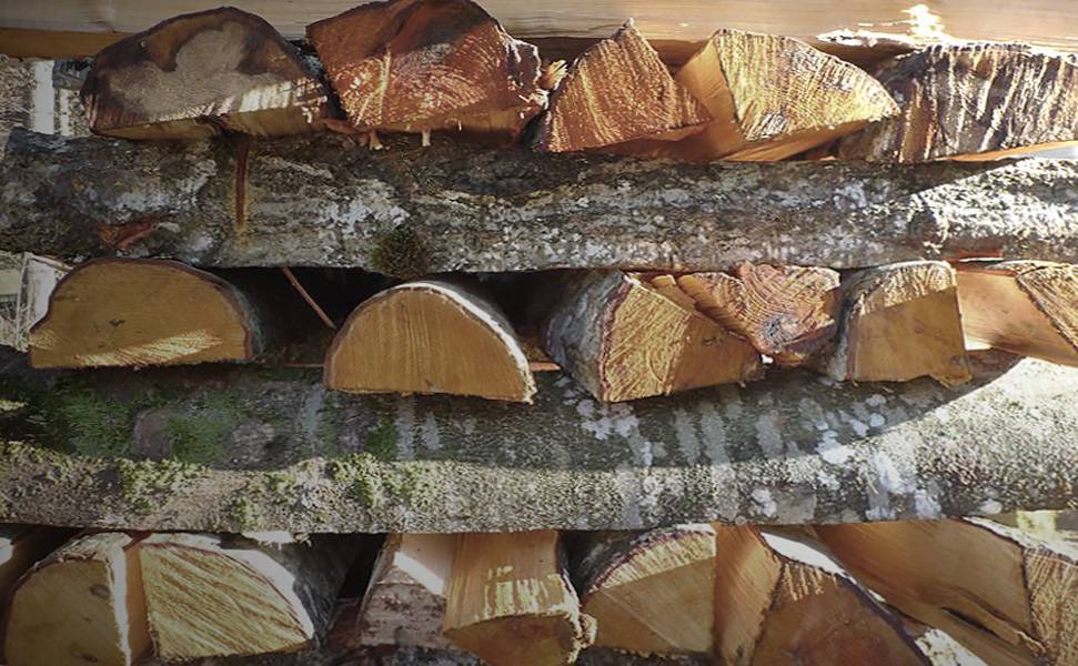 Сушка древесины: как высушить дерево на открытом воздухе, чтобы не трескалась и не повело