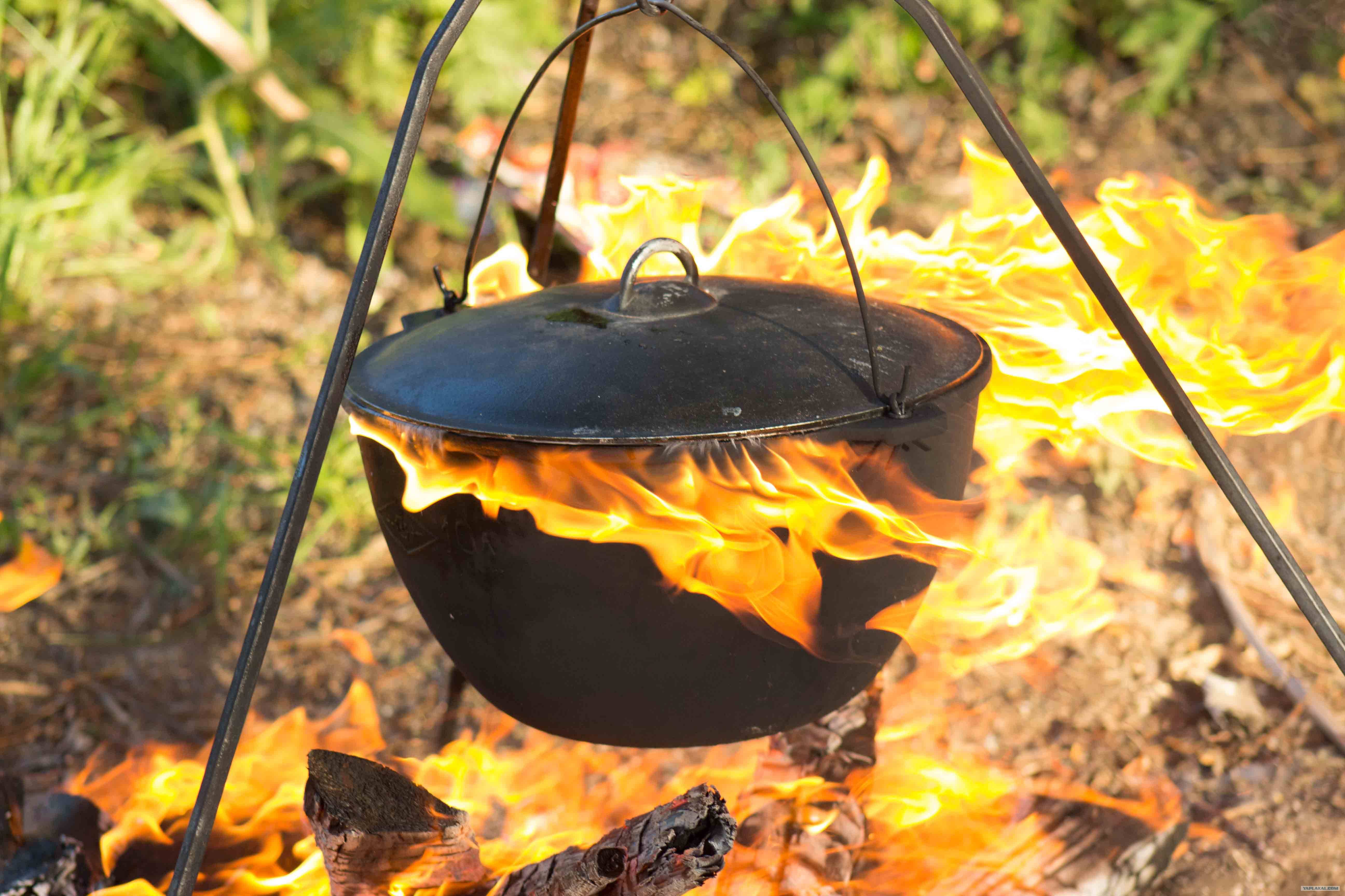 Как разжечь мангал для шашлыка на углях, на дровах, без розжига