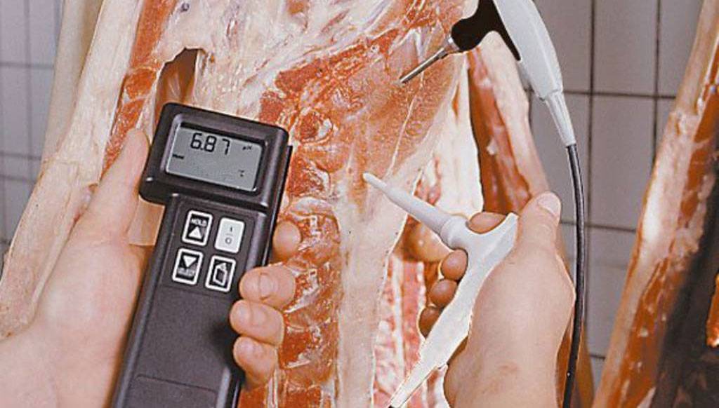 Как летом сохранить свежее мясо без холодильника: 16 лучших способов