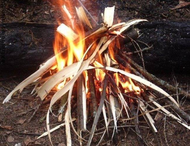 Как разжечь костер в лесу, как правильно разжечь костер в лесу