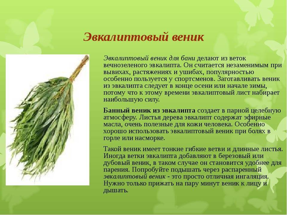 Веники и травы для бани хорошего качества - в minba.ru