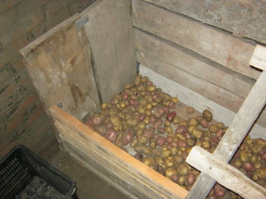 Овощная яма в гараже своими руками: пошаговая инструкция, отделка и утепление