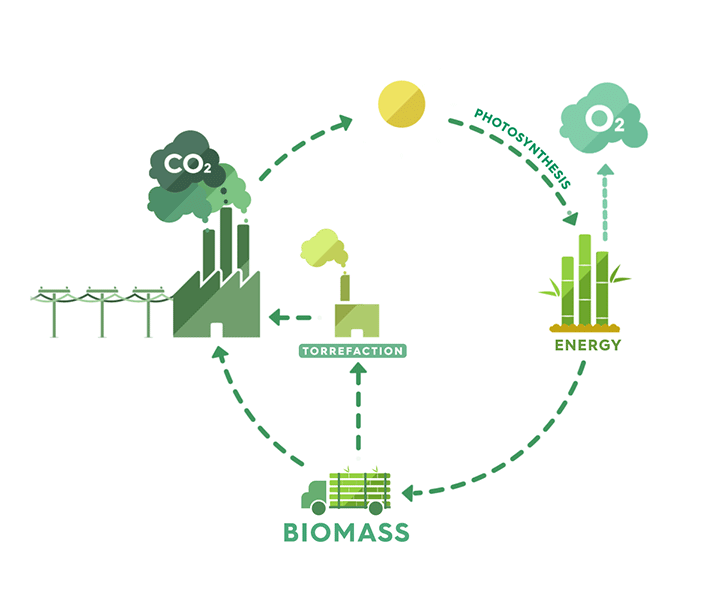 Энергия биомассы