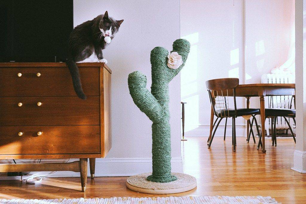 ♥ мебель для котов - дизайн дома вместе с кошкой - 73 фото ♥