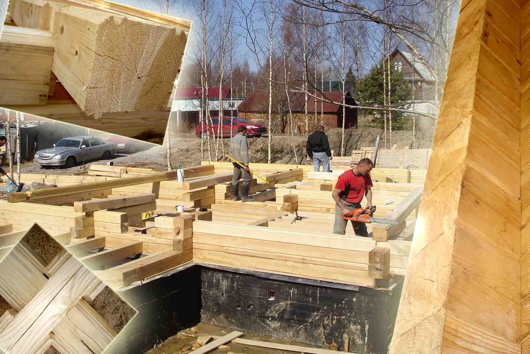 Лучшие породы древесины для строительства дома