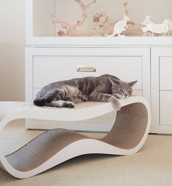 9 оригинальных идей, которые спасут вашу мебель от любимой кошки