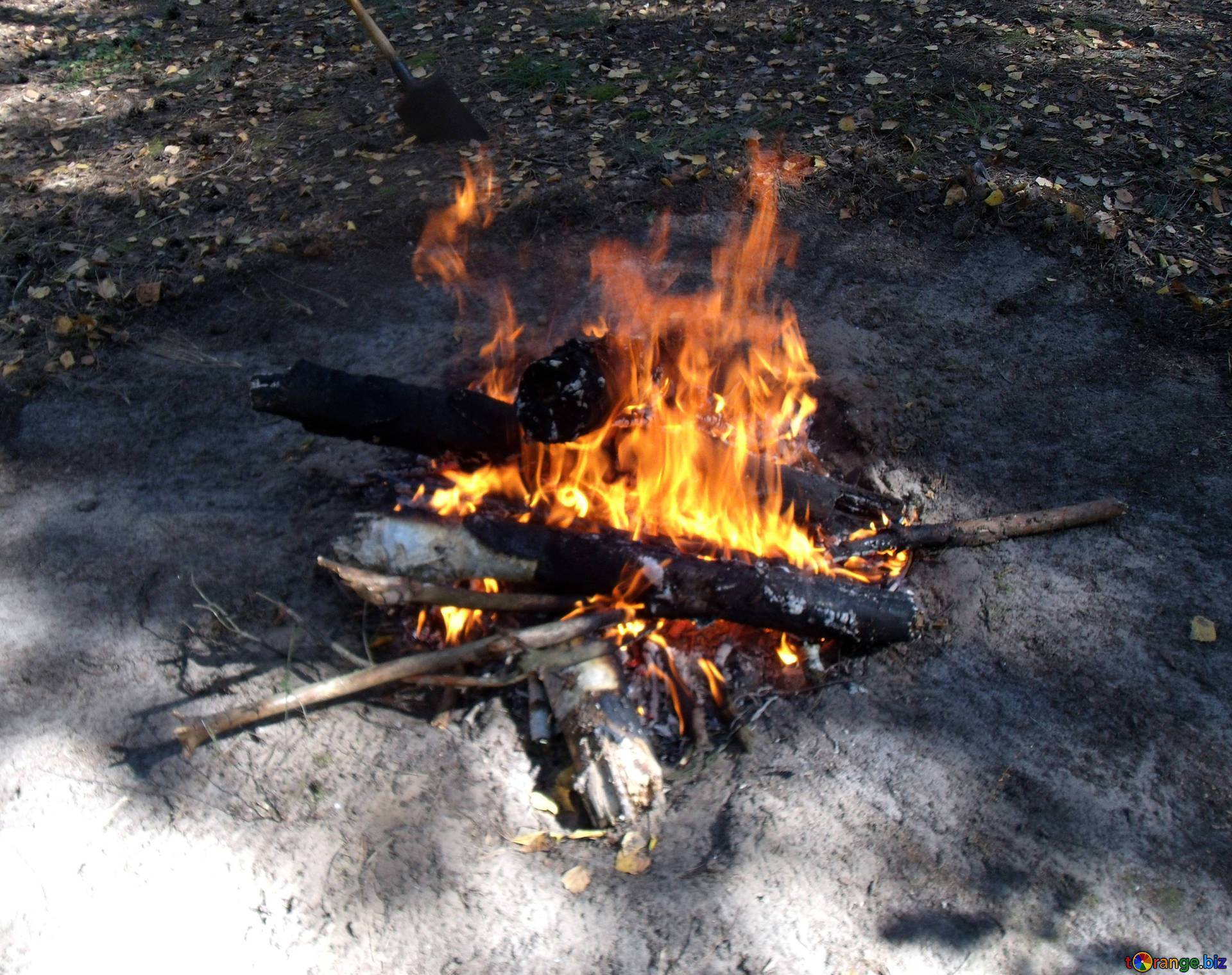 Как развести костер в сырую погоду? способы розжига сырых дров