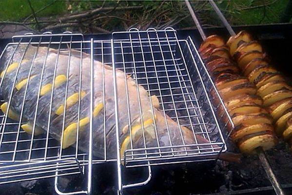 Карась на мангале на решётке: рецепты с фото, как вкусно приготовить шашлык на углях, как пожарить на барбекю кусочками в сметане