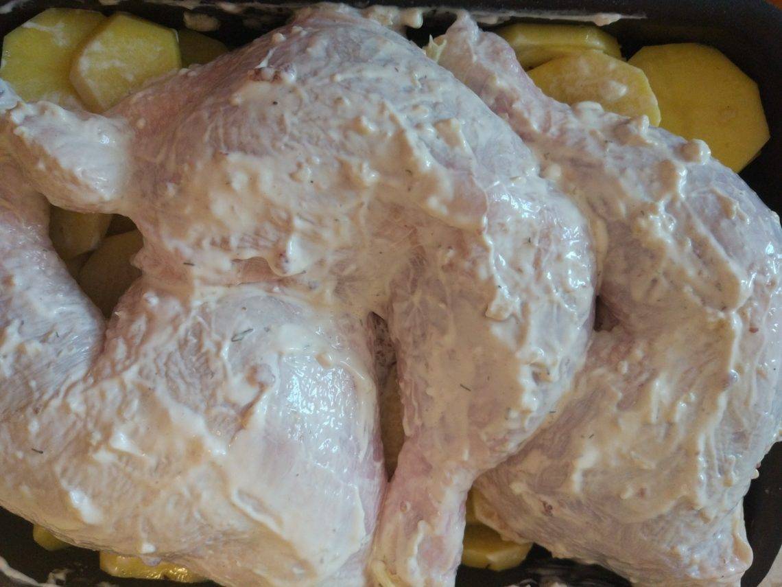 Шашлык из курицы - классические рецепты самых вкусных маринадов