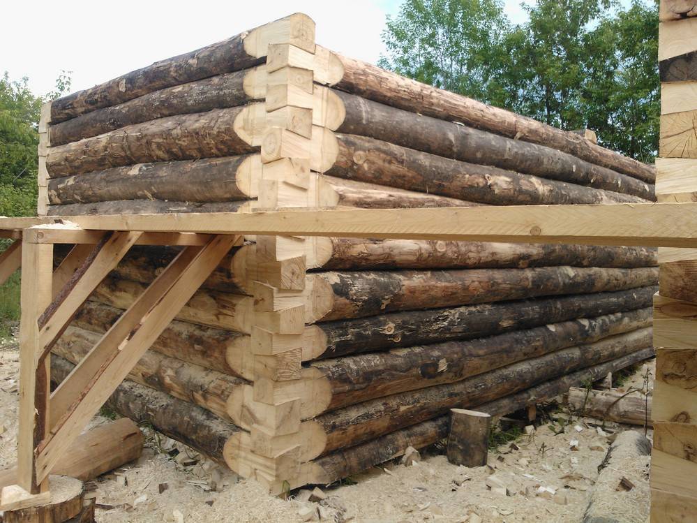 Что делают из древесины осины