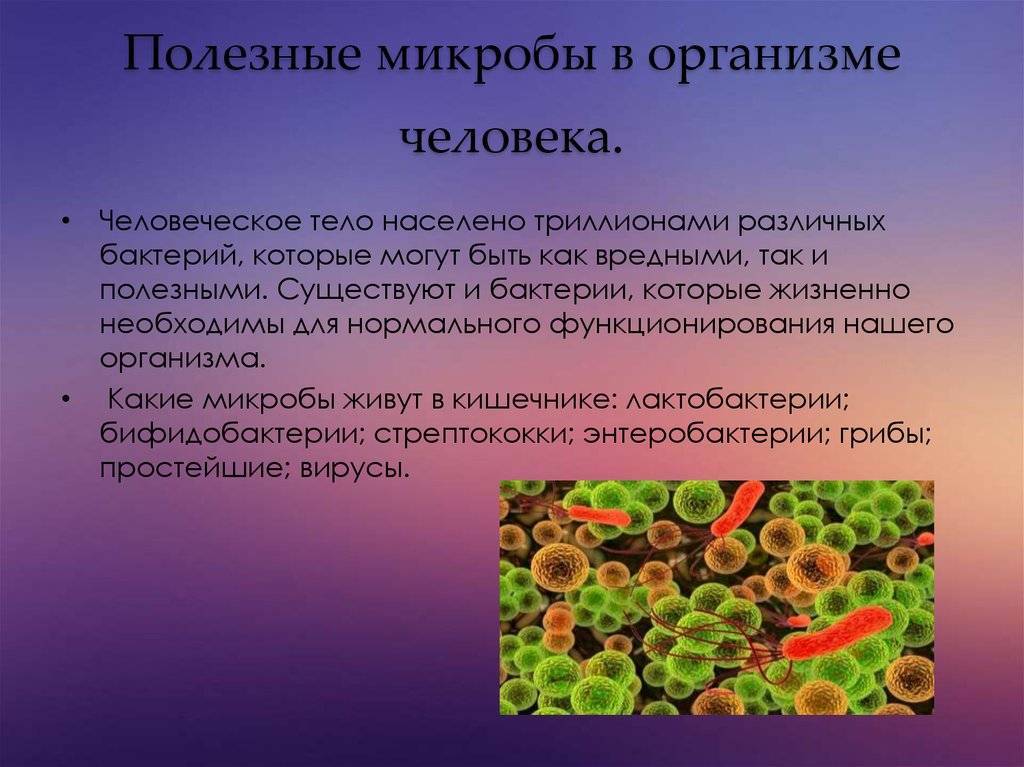Места скопления бактерий и борьба с ними — womanwiki - женская энциклопедия