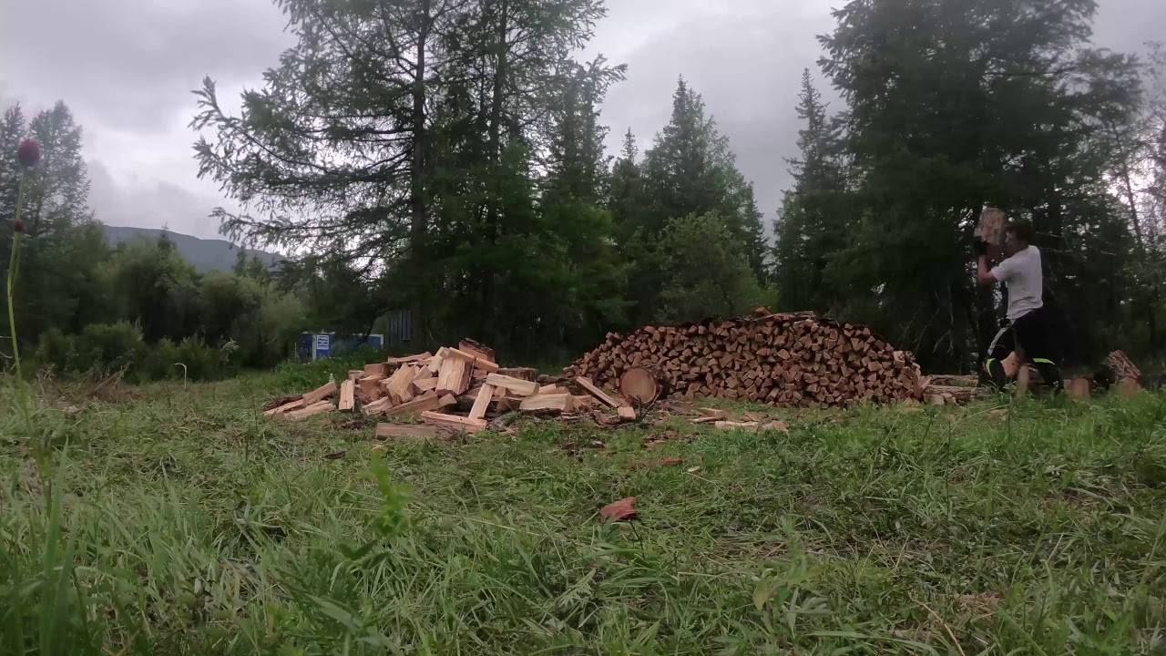 Как заготовить дрова на зиму: как рубить, сушить и хранить