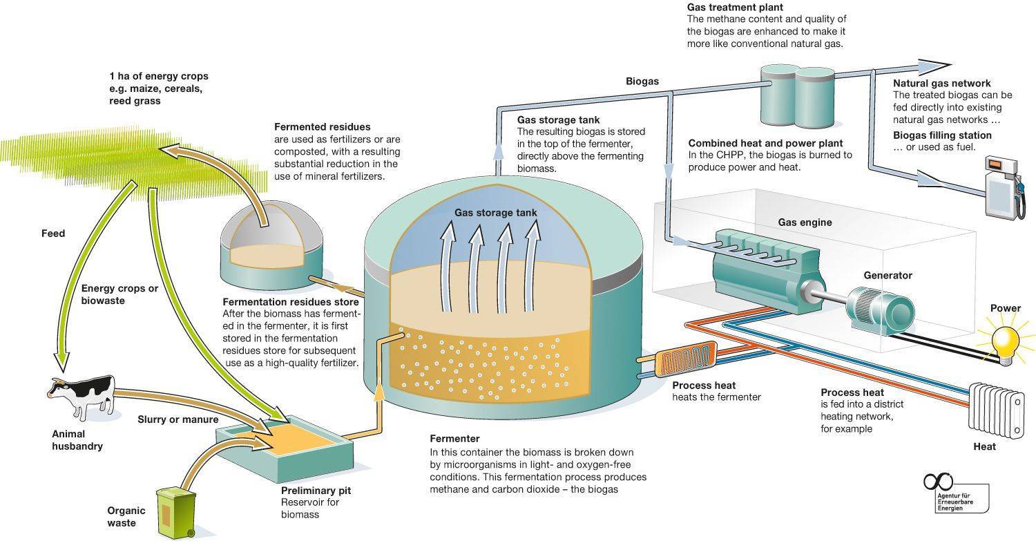 Как получить биогаз из навоза: технология и устройство установки по