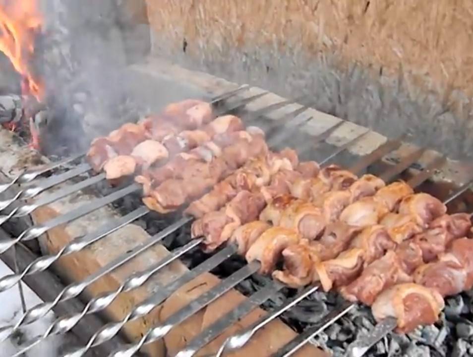 Шашлык из утки – научитесь готовить не только мясо