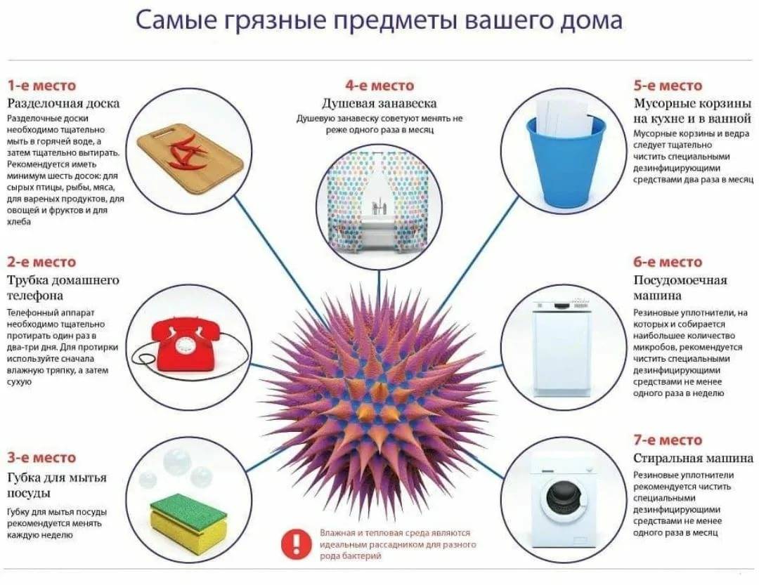 Бактерии и вирусы: как поражают клетки организма, в чем разница и когда нужны антибиотики | salt