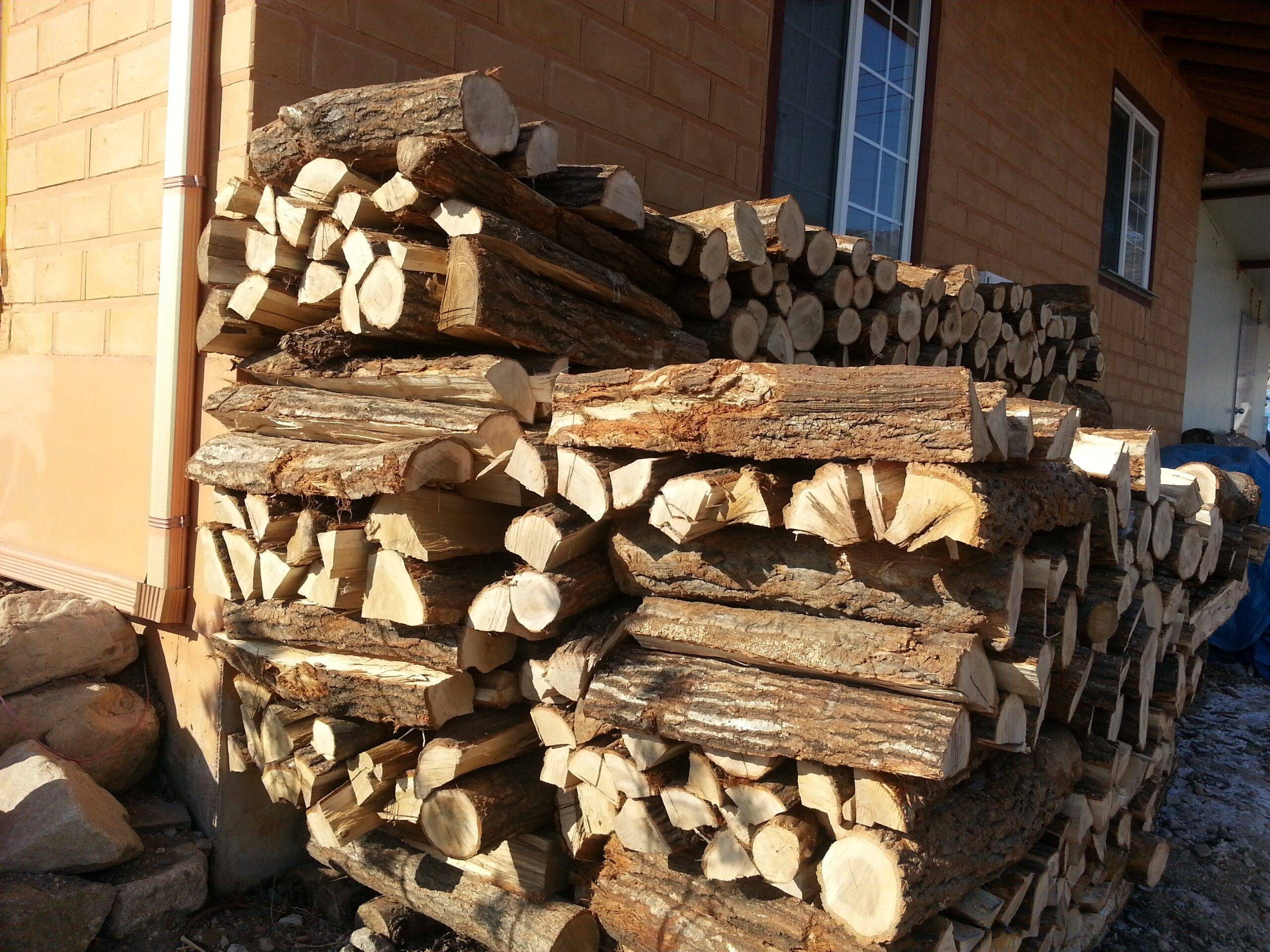 Какими дровами лучше топить печь – виды поленьев, преимущества и недостатки, правила хранения