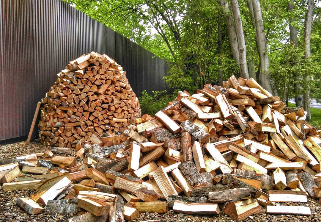 Сколько сохнут колотые березовые дрова - выращивание из семян!