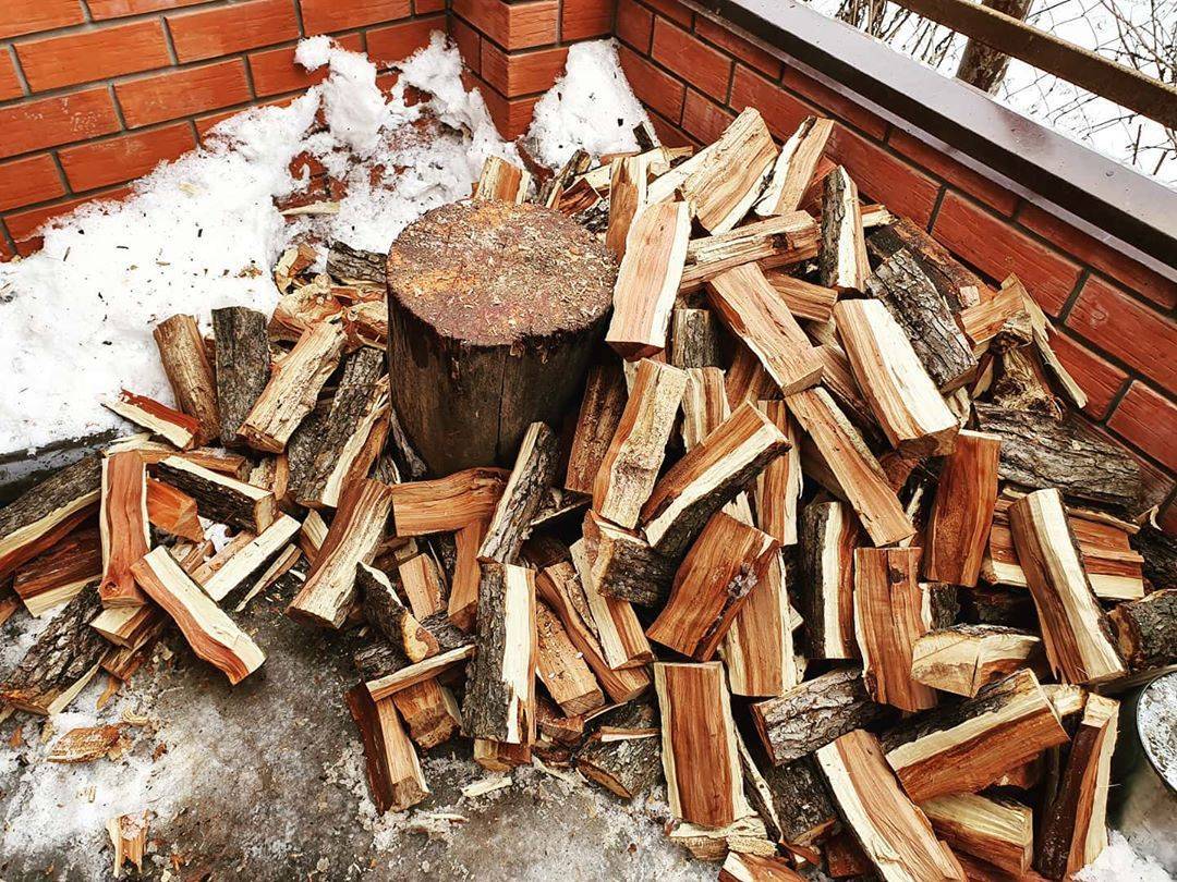 Чем лучше топить баню: дубовыми или березовыми дровами
