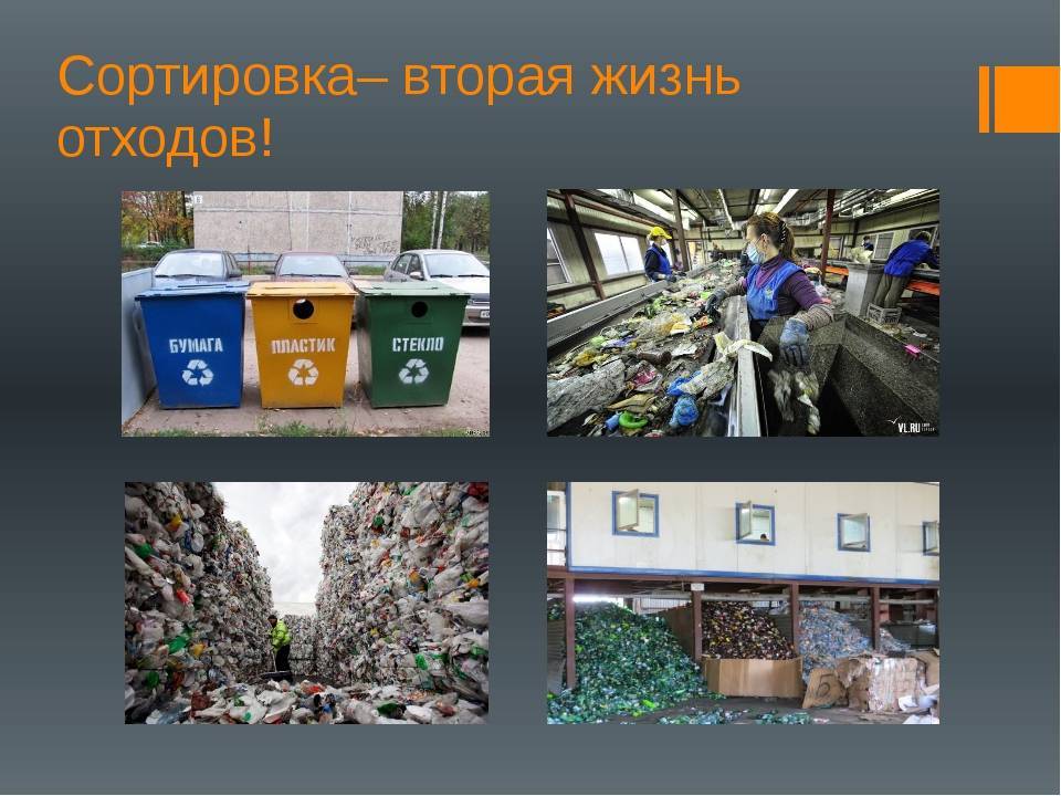 Утилизация отходов: как происходит в россии и мире | рбк тренды