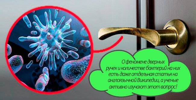 10 самых злачных мест для бактерий, которые вы постоянно посещаете :: инфониак
