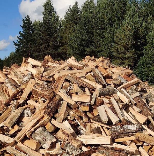 Как быстро высушить дрова - березовые и другие