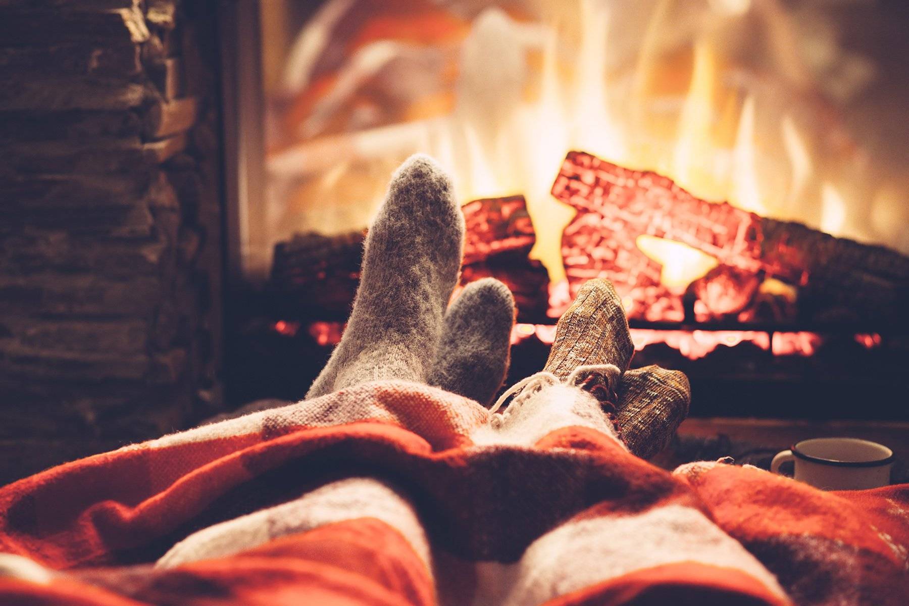 Как аромат меняет настроение дома: 5 запахов для праздника, уюта и тепла | кто?что?где?