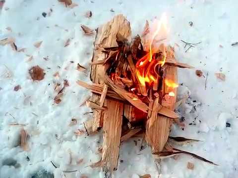 Как развести костер в сырую погоду? способы розжига сырых дров
