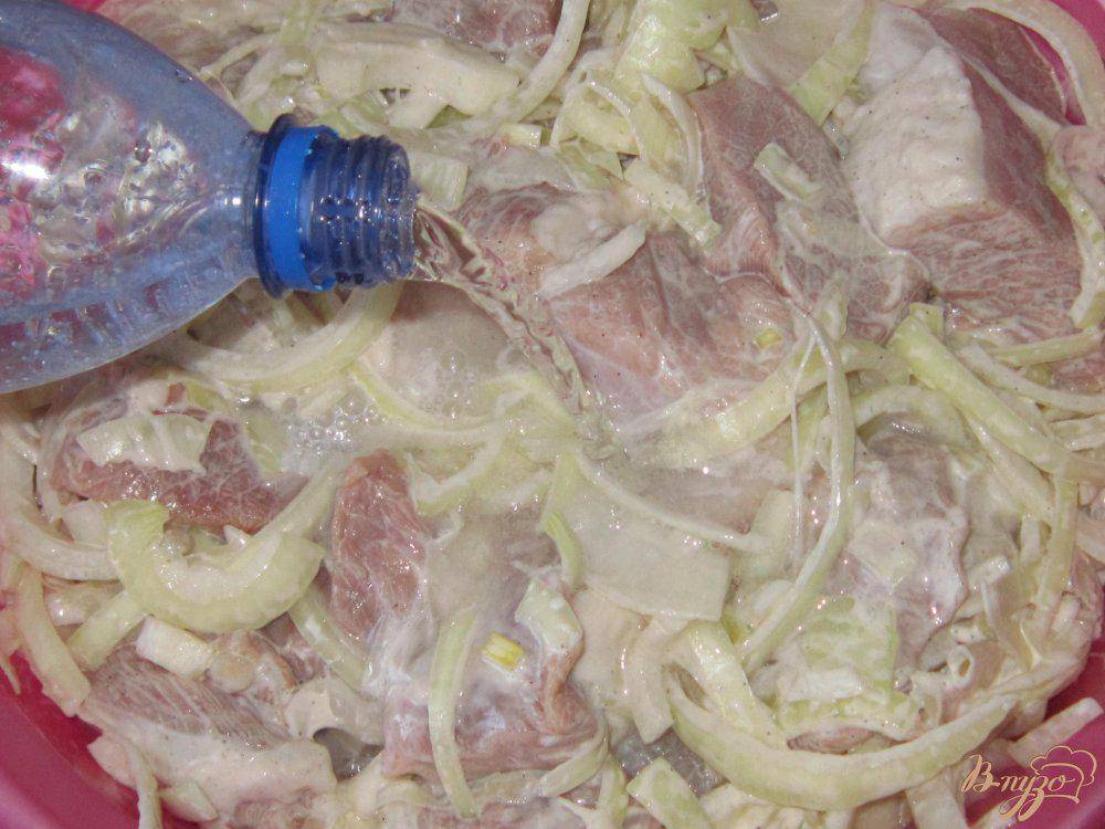 Маринад для шашлыка на минералке: 5 рецептов для свинины и курицы