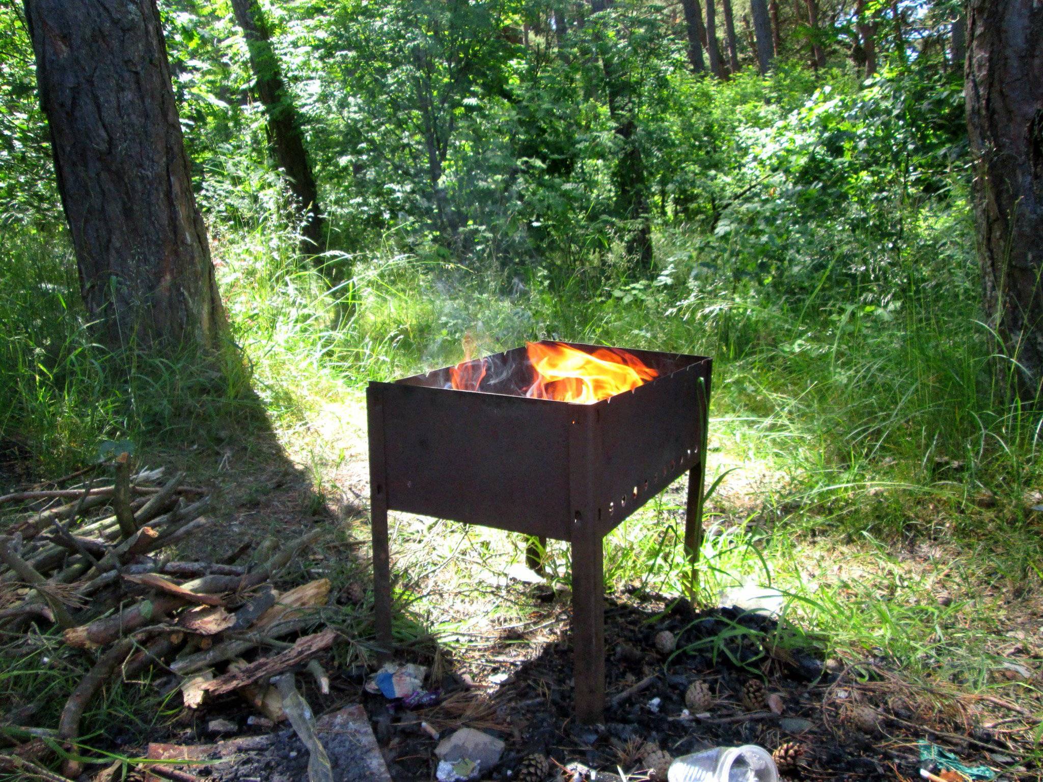 Можно ли жарить шашлык в лесу
