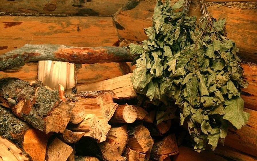 Средство для бани, которое экономит дрова – проверено: виды дров, организация горения, роль камней