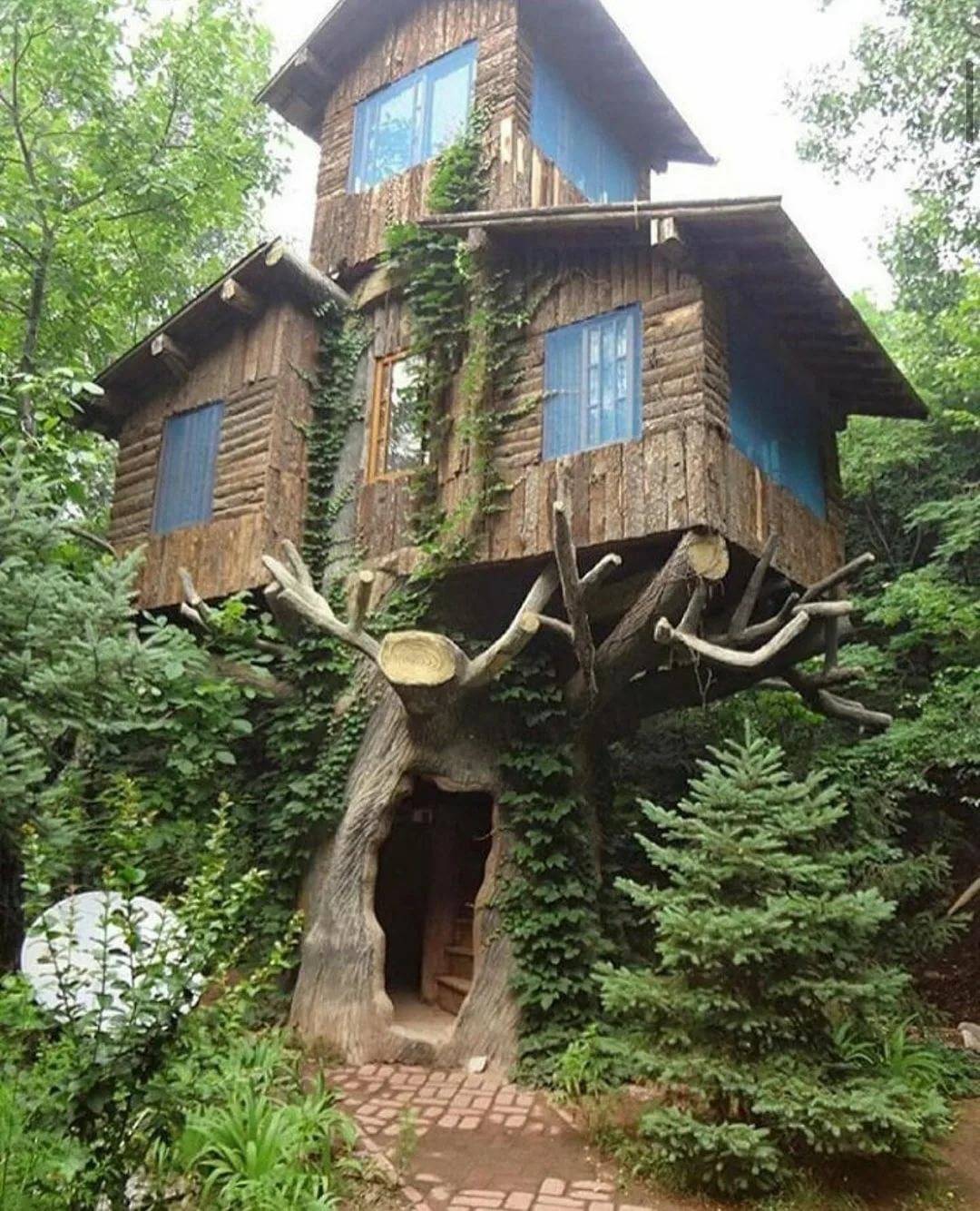 порно домик на дереве фото 105