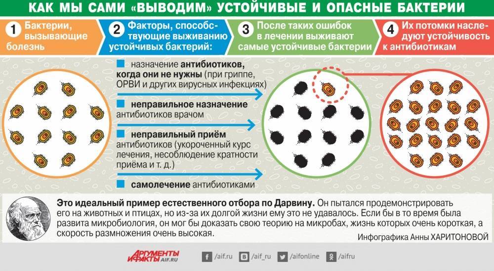 Где в доме живут микробы и как с ними бороться? - hi-news.ru