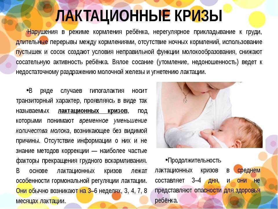 Что можно есть при грудном вскармливании: какие продукты нельзя употреблять во время кормления грудью?