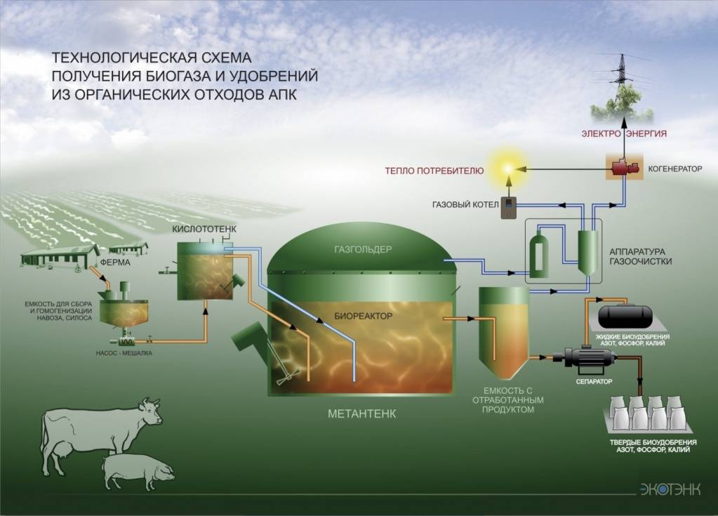 Биогаз из навоза – способы получения, установка своими руками