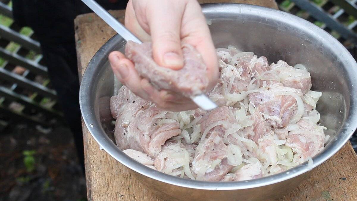 Свиной шашлык на кефире. как замариновать шашлык из свинины на кефире?