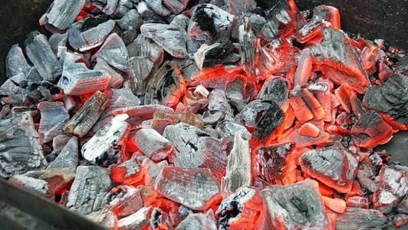 Правильно пожарить шашлык на мангале на углях: температура, время, техника