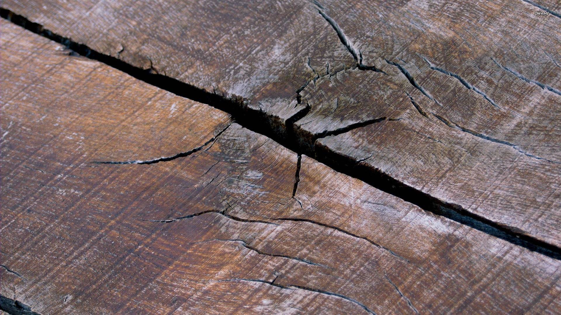 Как и чем заделывать трещины в древесине - 6 популярных способов